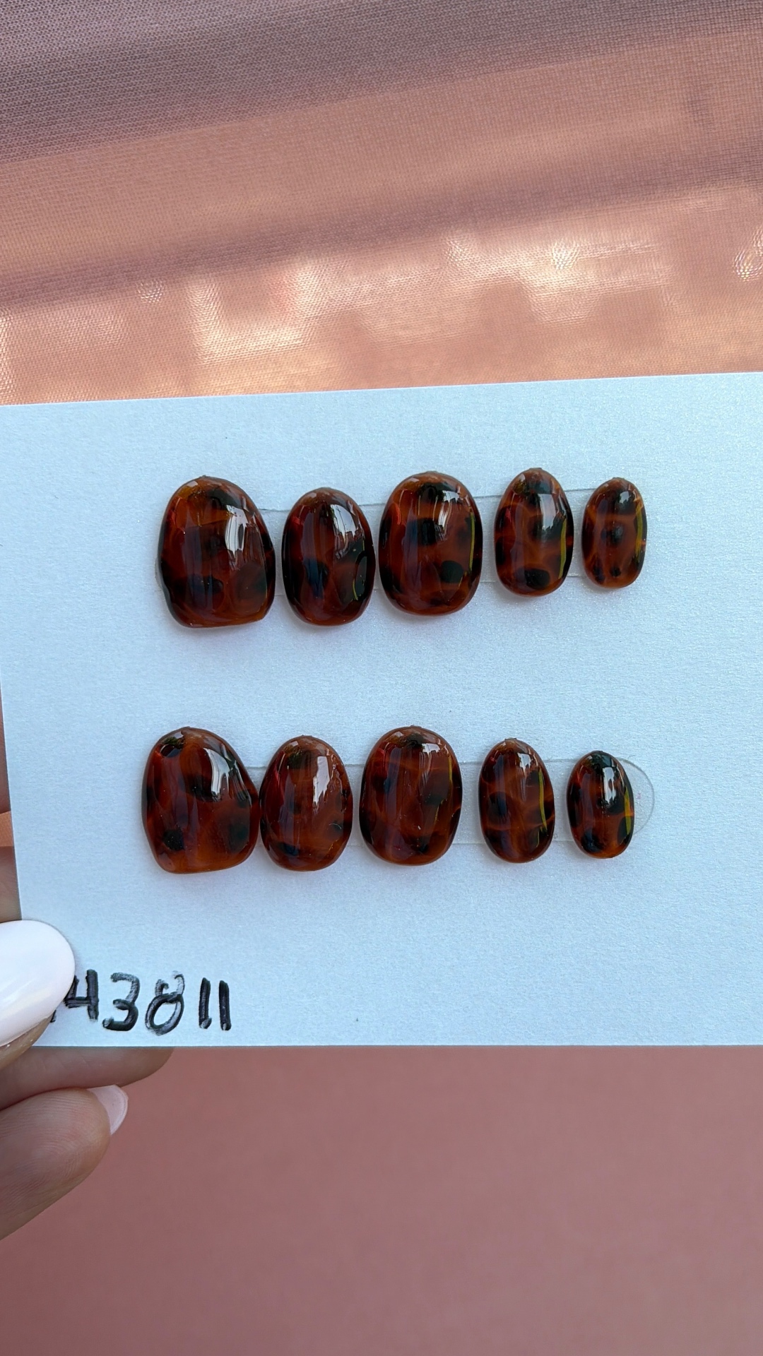 Tortoise Amber